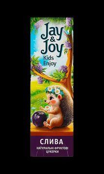 Цукерки фруктові Міленіум Jay&Joy Пастила сливова 32г 000007968 фото