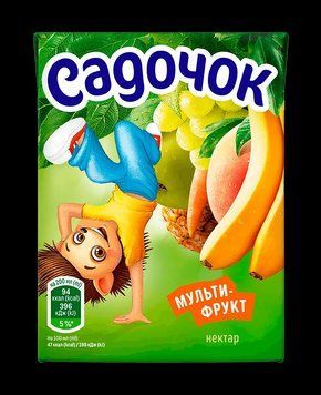 Сік Садочок 0,2л мультифрукт *18 шт 000006538 фото
